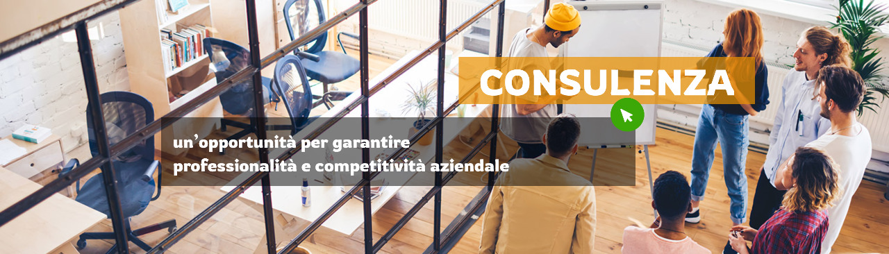 Consulenza | un'opportunità per garantire professionalità e competitività aziendale